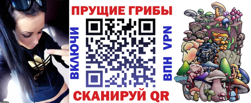 где купить наркоту blacksprut ссылка Псилоцибиновые грибы Psilocybe Нарьян-Мар